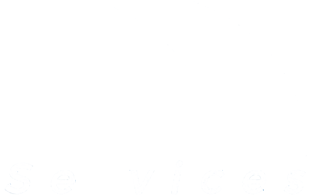 LM Services Logo